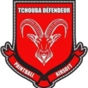 tchouba-defendeur-zn-airsoft